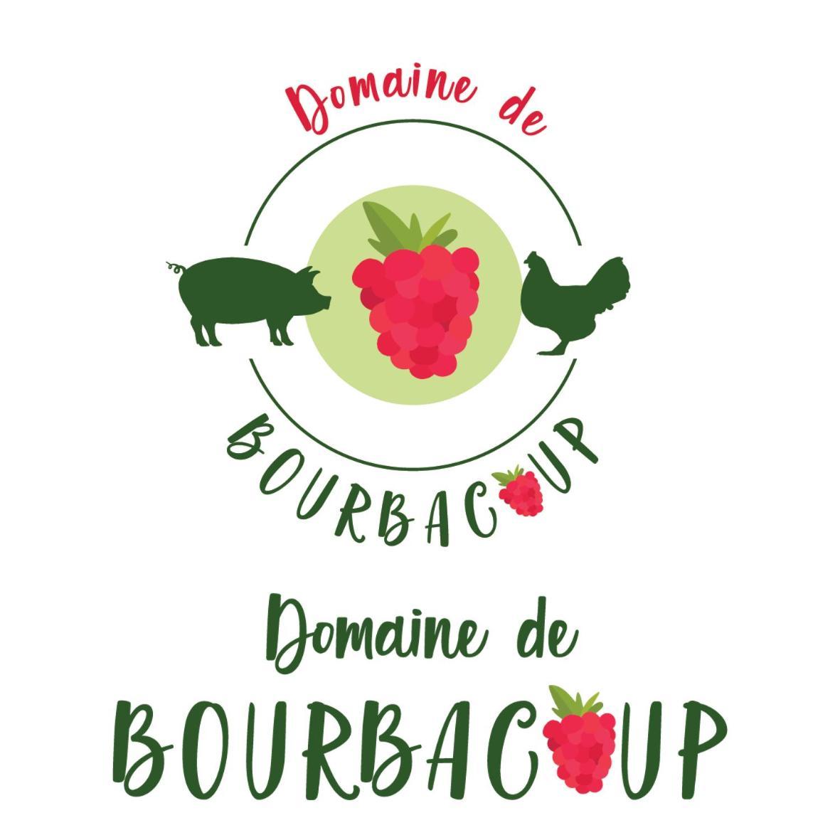 Chambres D'Hotes Du Domaine De Bourbacoup Tulle Kültér fotó